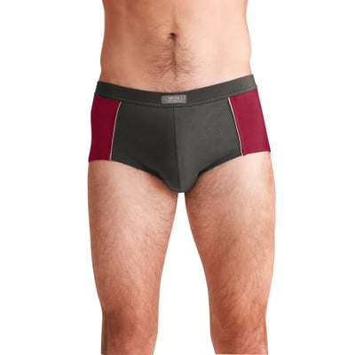 Lot de 4 slips fermés taille haut DAXON