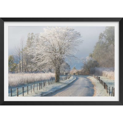 Affiche paysage Un matin glacial HEXOA