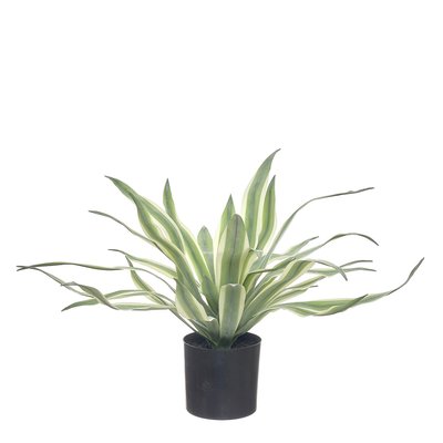 Planta artificial "Agave" 36cm, BORGHESI BORGHESI