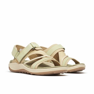 Sandales Terran 4 Backstrap MERRELL