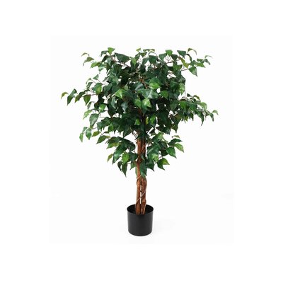 Plante Artificielle Plastique FIG FICUS PRESENT TIME