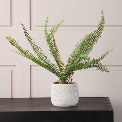 33cm Artificial Fern in Cement Pot & Macramé Hanger SO'HOME