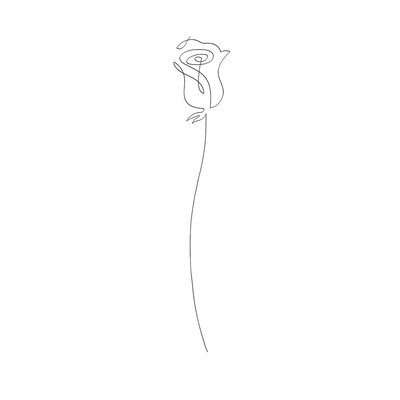 Tableau Bouton de rose croquis HEXOA