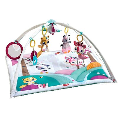 Tapis d'éveil bébé avec Arches Princesse TINY LOVE
