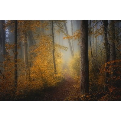 Tableau Automne rouge HEXOA