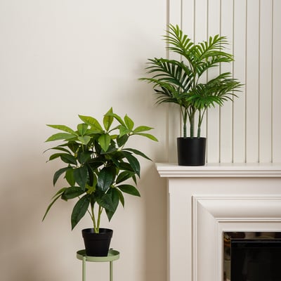 Set of 2 60cm Palm Tree & Money Tree Artificial Plants SO'HOME