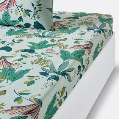 Drap housse percale de coton, Somerset LA REDOUTE INTERIEURS