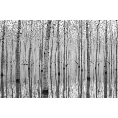 Tableau nature automnale pieds dans l'eau HEXOA