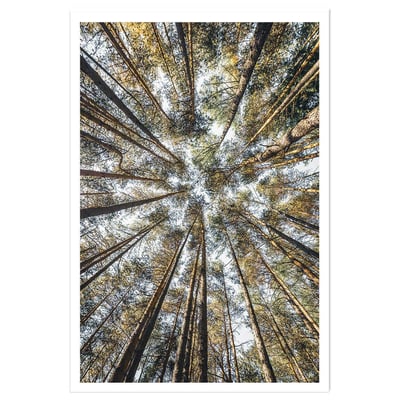 Affiche nature perspective des cîmes HEXOA