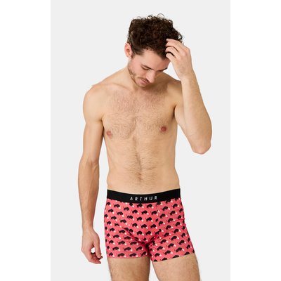 Boxer en coton, imprimé Olé ARTHUR