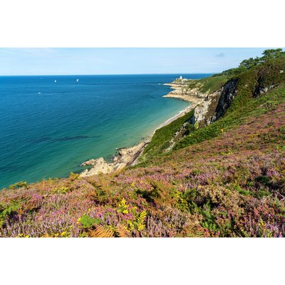 Tableau Mural Baie Fresnaye MER CEANOTHE