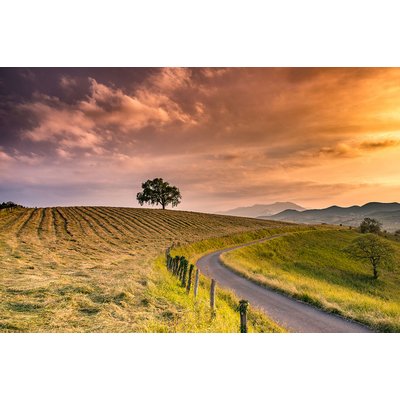 Tableau paysage nature chemin des basques HEXOA