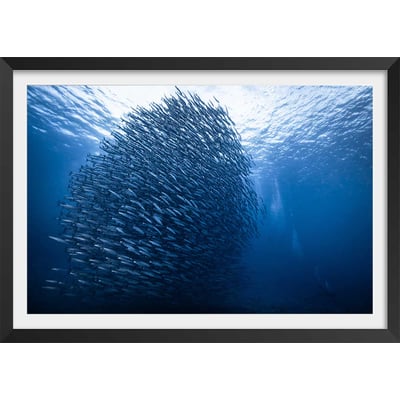 Affiche Masse bleue HEXOA