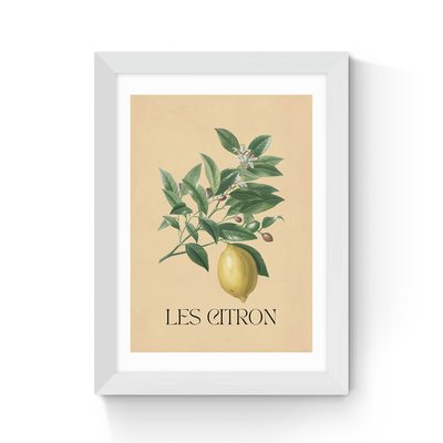 Les Citron by Flower Love Child EAST END PRINTS