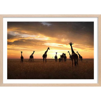 Affiche animaux girafes family HEXOA