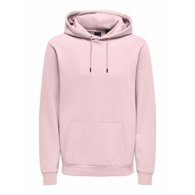 Sweat à capuche Ceres Life ONLY & SONS