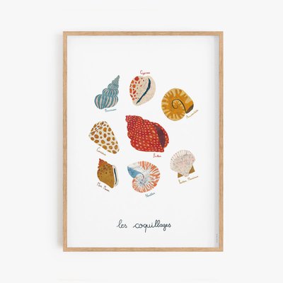 Seashells, affiche, porte-affiche 30x40cm COTTON BIRD