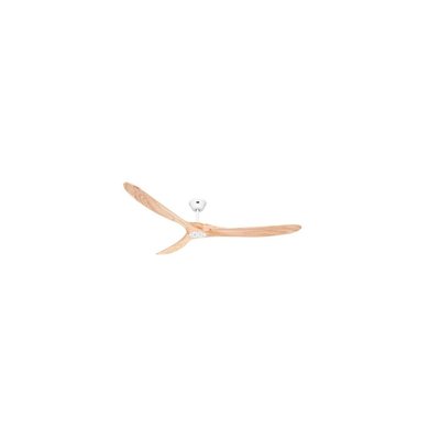 Ventilateur  Plafond  ECO GENUINO BOUTICA-DESIGN