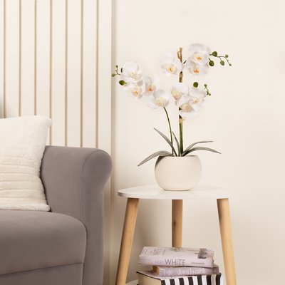 53cm Artificial Orchid in Cream Cement Pot SO'HOME