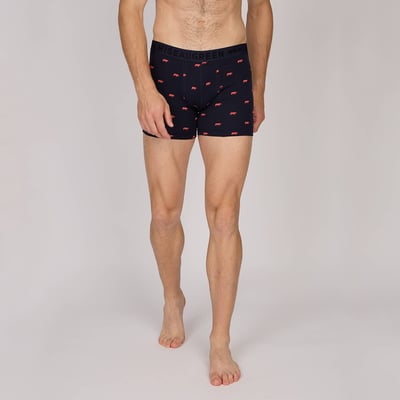 Boxer Adriel MISE AU GREEN