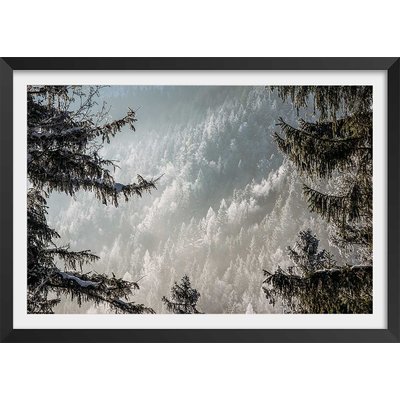 Affiche paysage forest in fog drama HEXOA