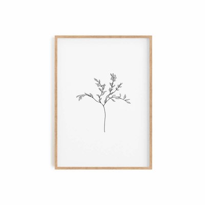 Herbarium White I, Affiche seule 50cm x 70cm COTTON BIRD