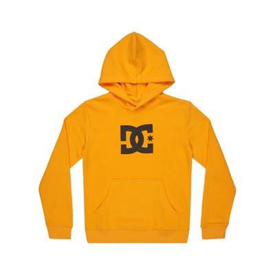 Sweat à capuche. DC SHOES