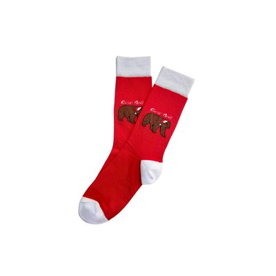Chaussettes en coton imprimé Bear Noël Made in France ARTHUR
