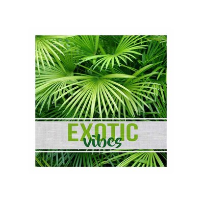 Lot de 20 serviettes papier Exotic vibes DOUCEUR D'INTÉRIEUR
