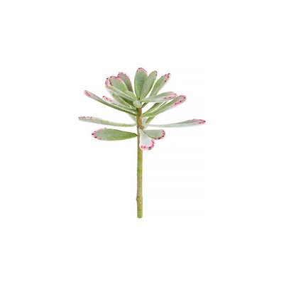 Piquet de succulente panda artificielle H24 SIA DECO