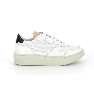 Sneakers basses Cuir CAYMA PIOLA