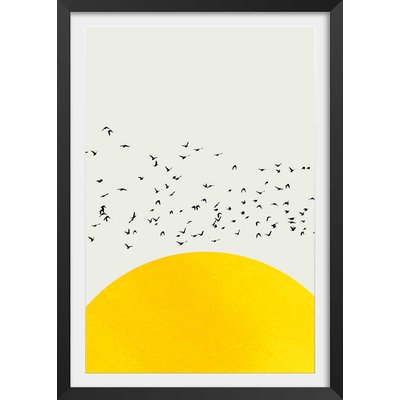 Affiche dessin ""1000 oiseaux"" HEXOA