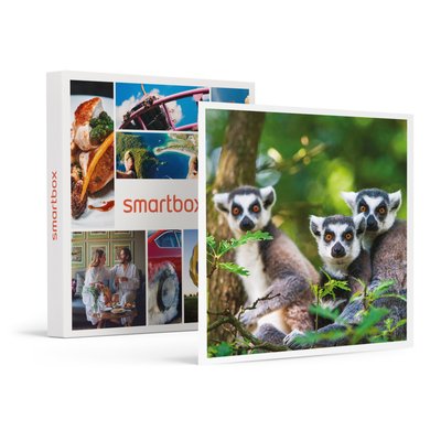 Journée zoo en famille pour 1 adulte et 2 enfants au Safari de Peaugres- SMARTBOX - Coffret Cadeau Sport & Aventure SMARTBOX