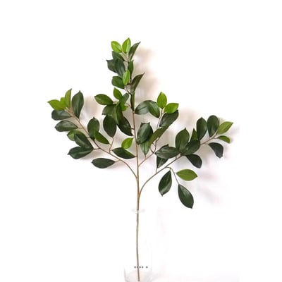 Branche de ficus artifiel Retusa H 65 cm ARTIFICIELLES