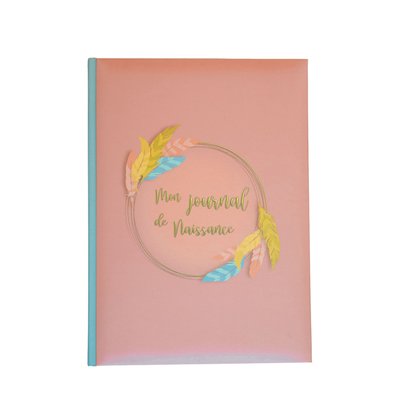 Mon livre de naissance HOME MAISON