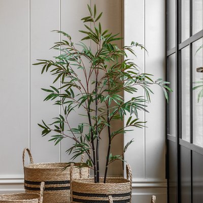 4ft Potted Bamboo Tree SO'HOME