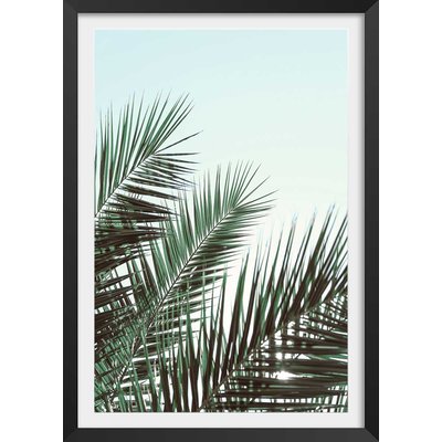 Poster palme verte HEXOA