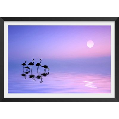 Affiche animaux Morning Flamingo HEXOA