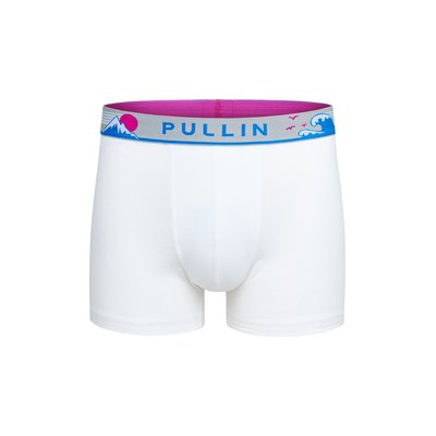 BOXER UNI COTON FORME CLASSIQUE MASTER PULLIN