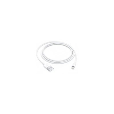 Câble Lightning Lightning vers USB 1m APPLE