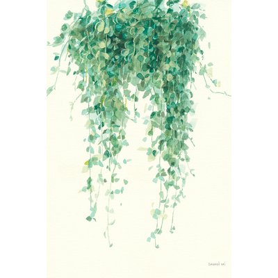 Tableau fleurs Plante tropicale Ceropegia illustrée HEXOA