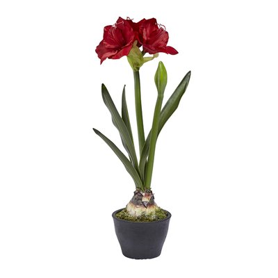 Amaryllis en pot artificielle H70 SIA DECO