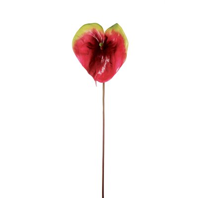 Tige d'anthurium artificielle H84 SIA DECO