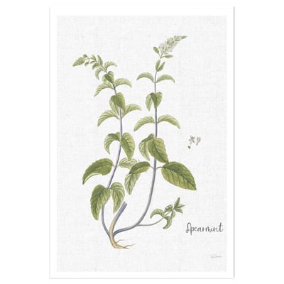 Affiche fleurs Menthe verte illustrée HEXOA