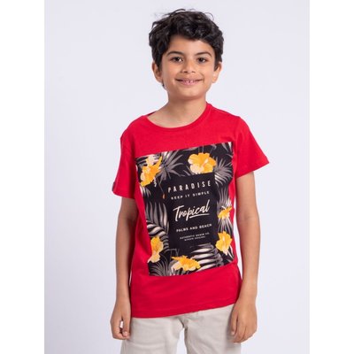 T-shirt Manches Courtes Col Rond Pur Coton Noctavio-j RITCHIE