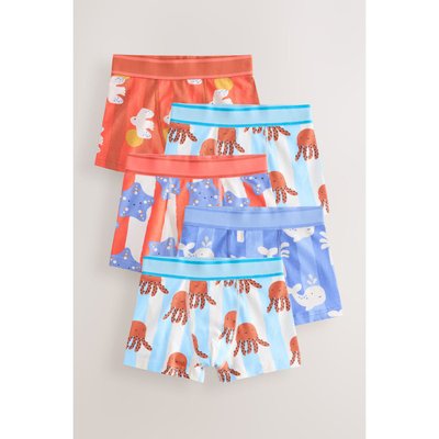 Boxer, lot de 5 NEXT