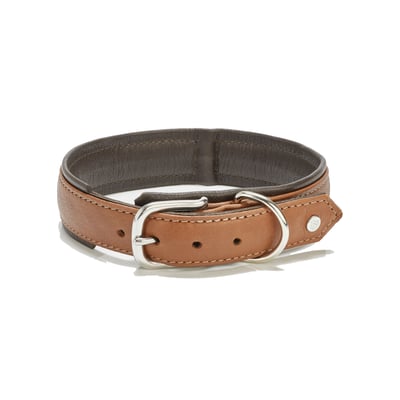Collier chien en cuir AMICI LABONI