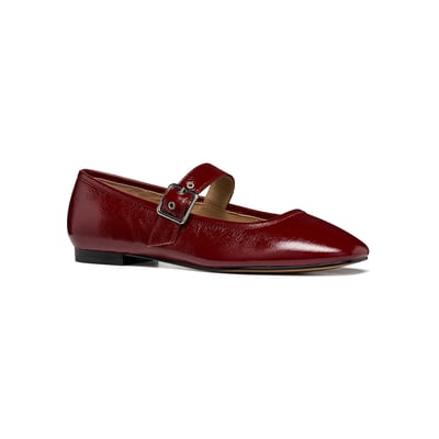 Ballerines  D AZLEA GEOX