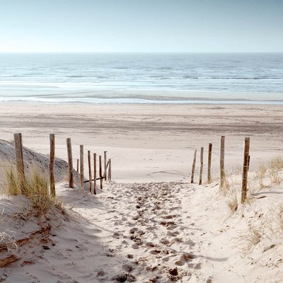 Tableau Mural Pas Sur Le Sable PLAGE CEANOTHE