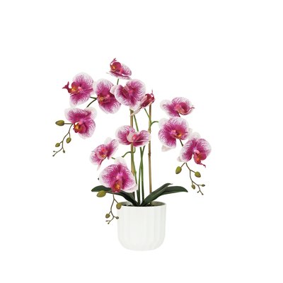 Orchidée artificielle blanc-fuchsia 50cm LIGNE DECO